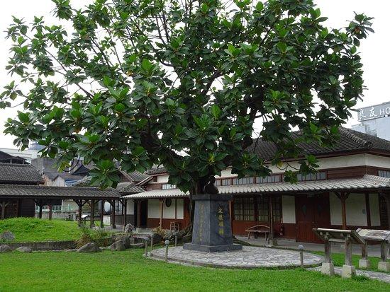 Ruines de la ligne de chemin de fer est-ouest
